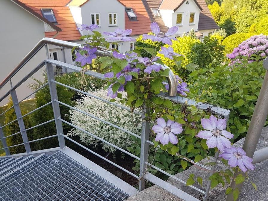 Ferienwohnung Frieda Flensburg Dış mekan fotoğraf